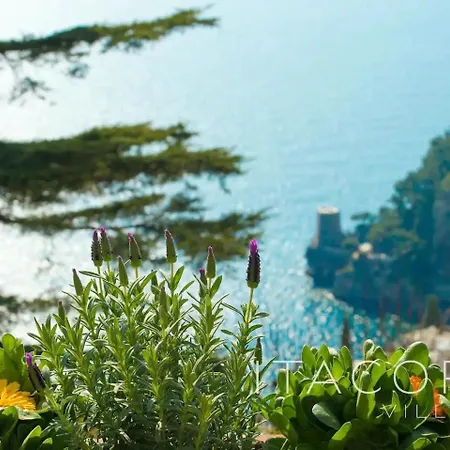 ヴィラ Gaia - Sea View, Pool, Terrace, Patio & Courtyard ポジターノ